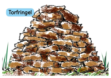 Torfringel