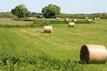 Grünland im geplanten Naturschutzgebiet&nbsp;&copy;&nbsp;Landkreis Osterholz