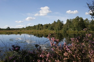Hamberger Moor&nbsp;&copy;&nbsp;Landkreis Osterholz