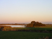 Wiesen und Wasser