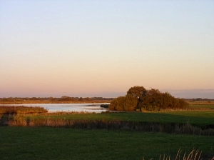 Wiesen und Wasser