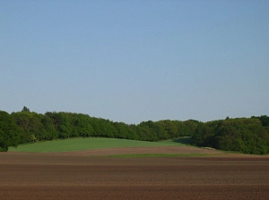 Landschaftsschutzgebiet
