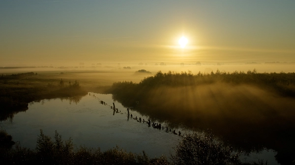 Malerischer Sonnenaufgang