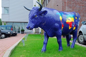 Bulle vor dem NETZ Zentrum