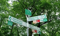 Ein Schilderstandort des Radwegenetz mit drei Armwegweisern und einem Knotenpunkt.