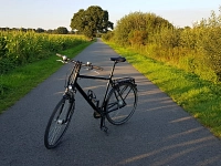 Stadtradeln 2020