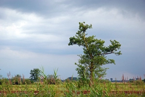 Teufelsmoor