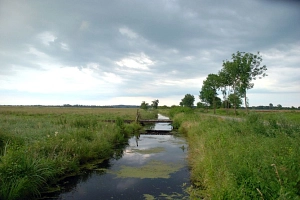 Teufelsmoor