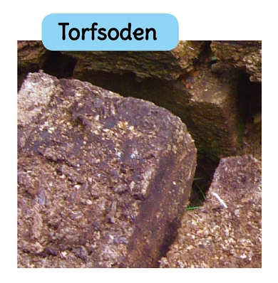 Bild Torfsode