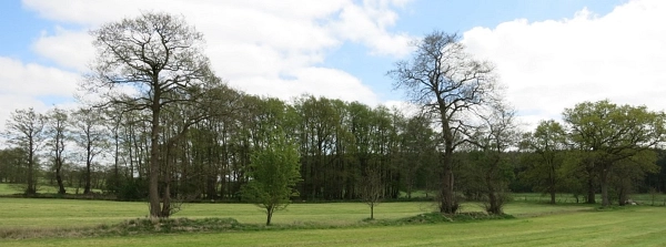 Wallhecke unsachgemäß