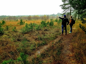 Wandern im Heilsmoor&nbsp;&copy;&nbsp;Landkreis Osterholz
