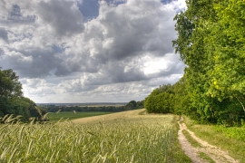 Weyerberg