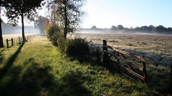 Wiesen in Schwanewede
