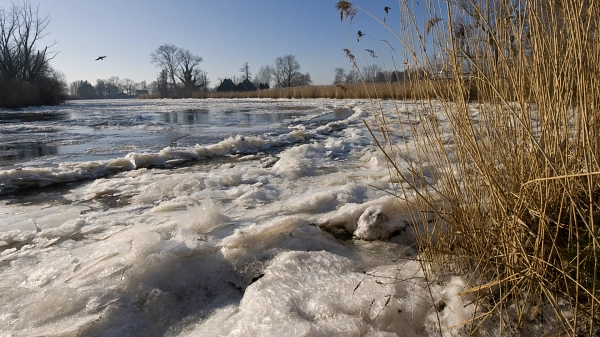 Winter an der Wümme